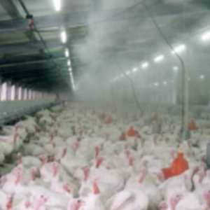 brumisateur agricole​